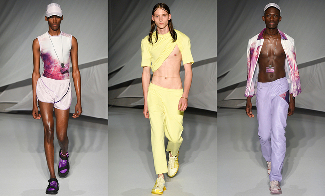 Cottweiler �����-���� 2019