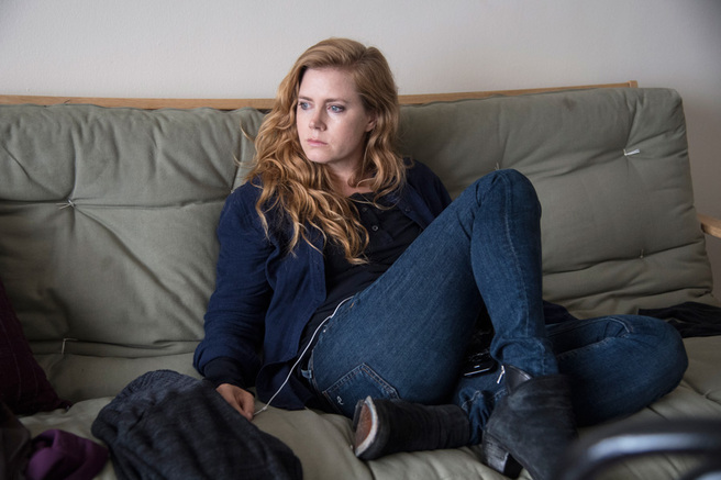 ������ ��� ���������� ����� ���������� ������ ������� ���������