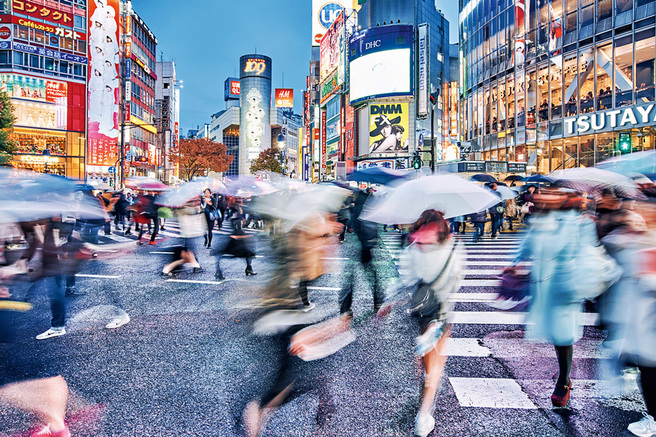 ����� ������� ����������