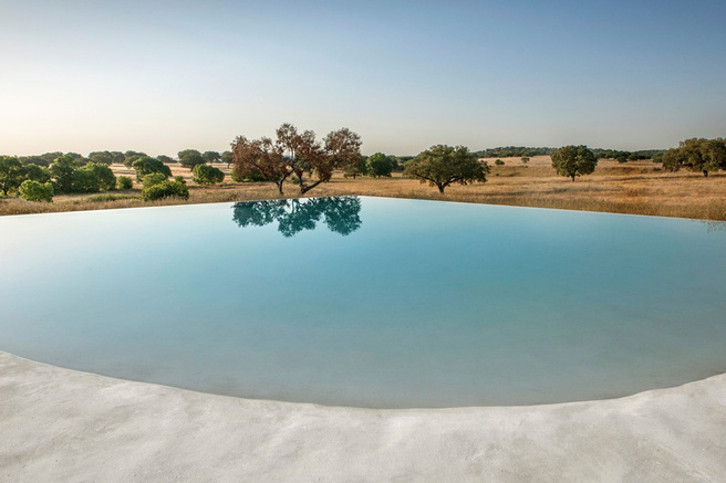 ������ ���������� � ����� ������ ����������� ��� ������� ���� �����