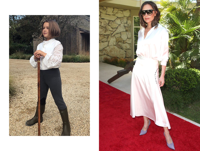 ����� �������� ������ ������ ���� ����� ���������� ����