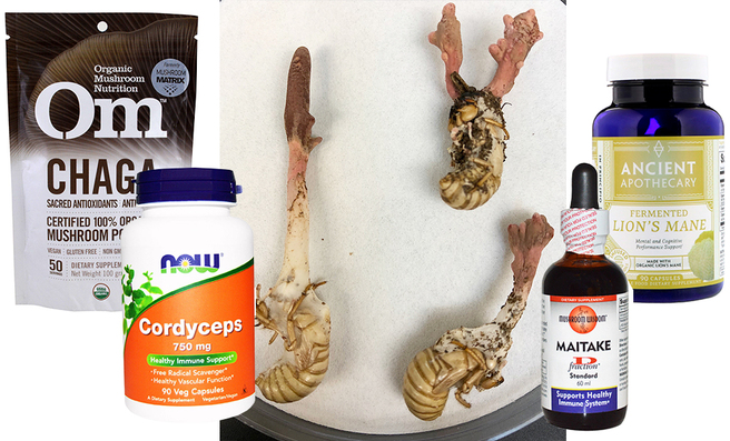 ��� � ������