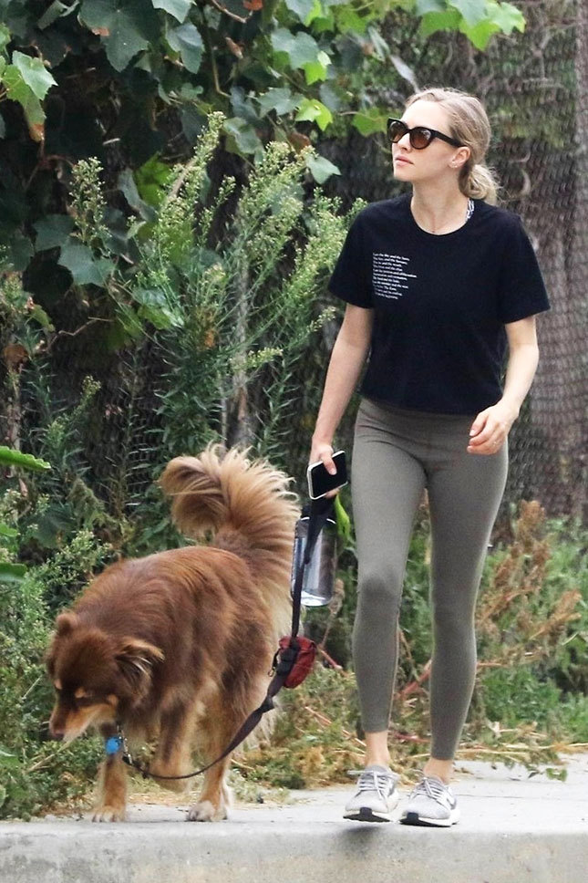 ������ ������� �� ����� ���� ������ � ���-���������