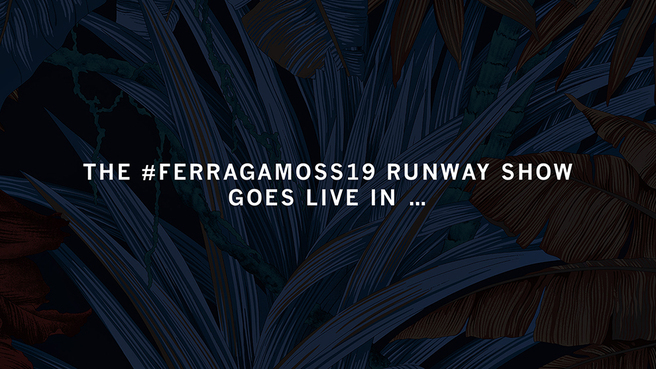 ����� Salvatore Ferragamo � 10:30 �� ����������� �������