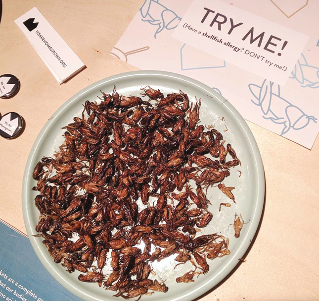 ������ ��������� �������� ����