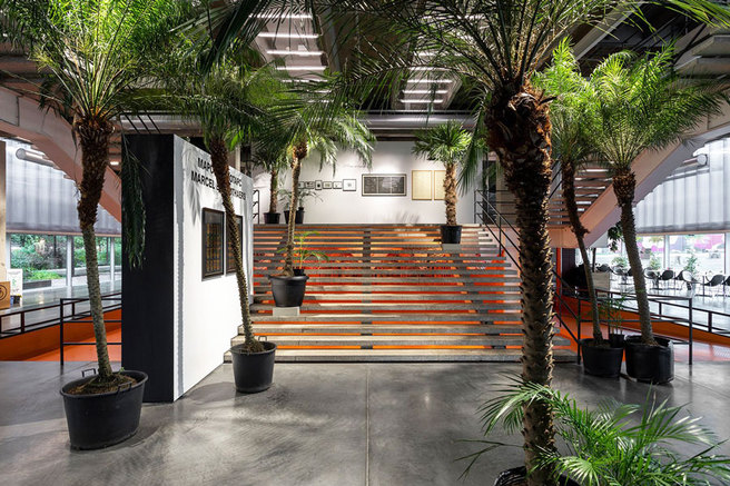 ������ ����� �� �������� � ������