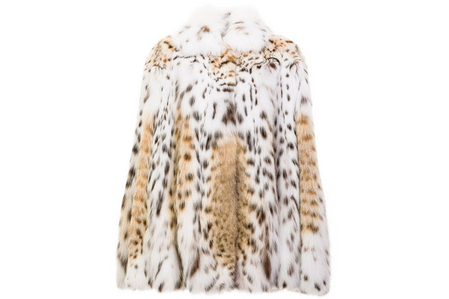 ��� ������ ����� ������ ����������� ����