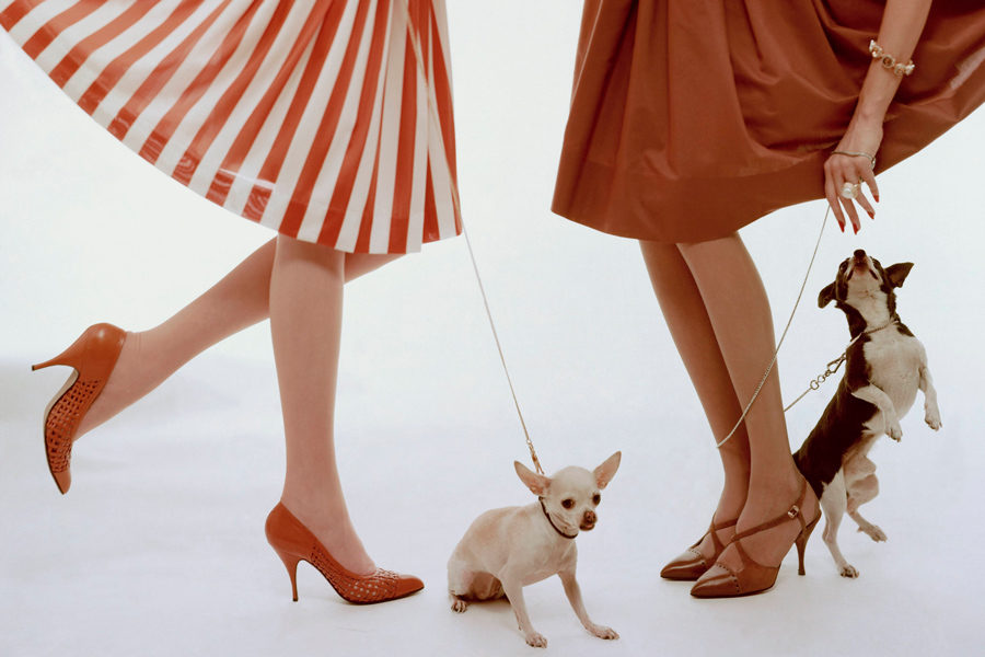 ��� ����������� ���� � ������� ������