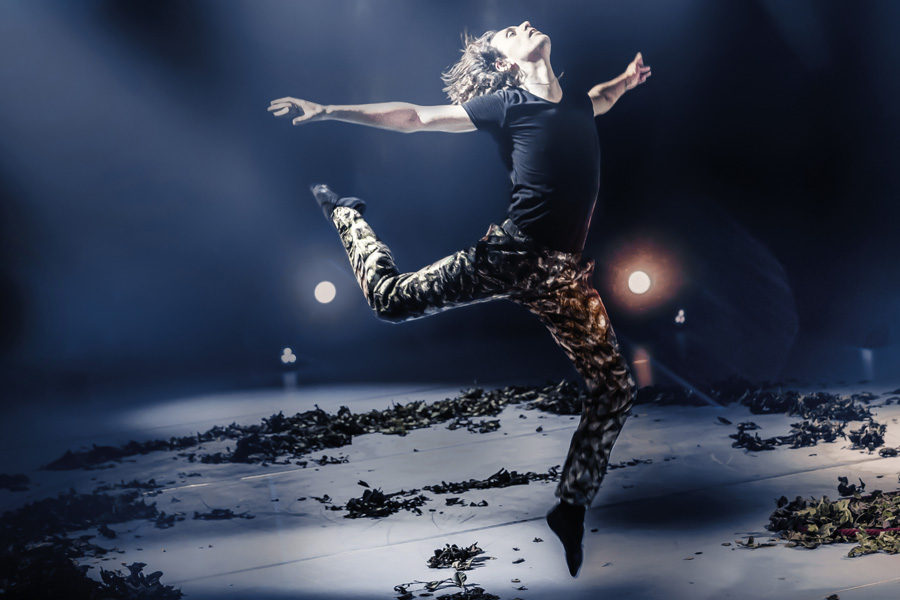 � �������� Luxury Village� ���������� ����� ���������� � ������� ���������